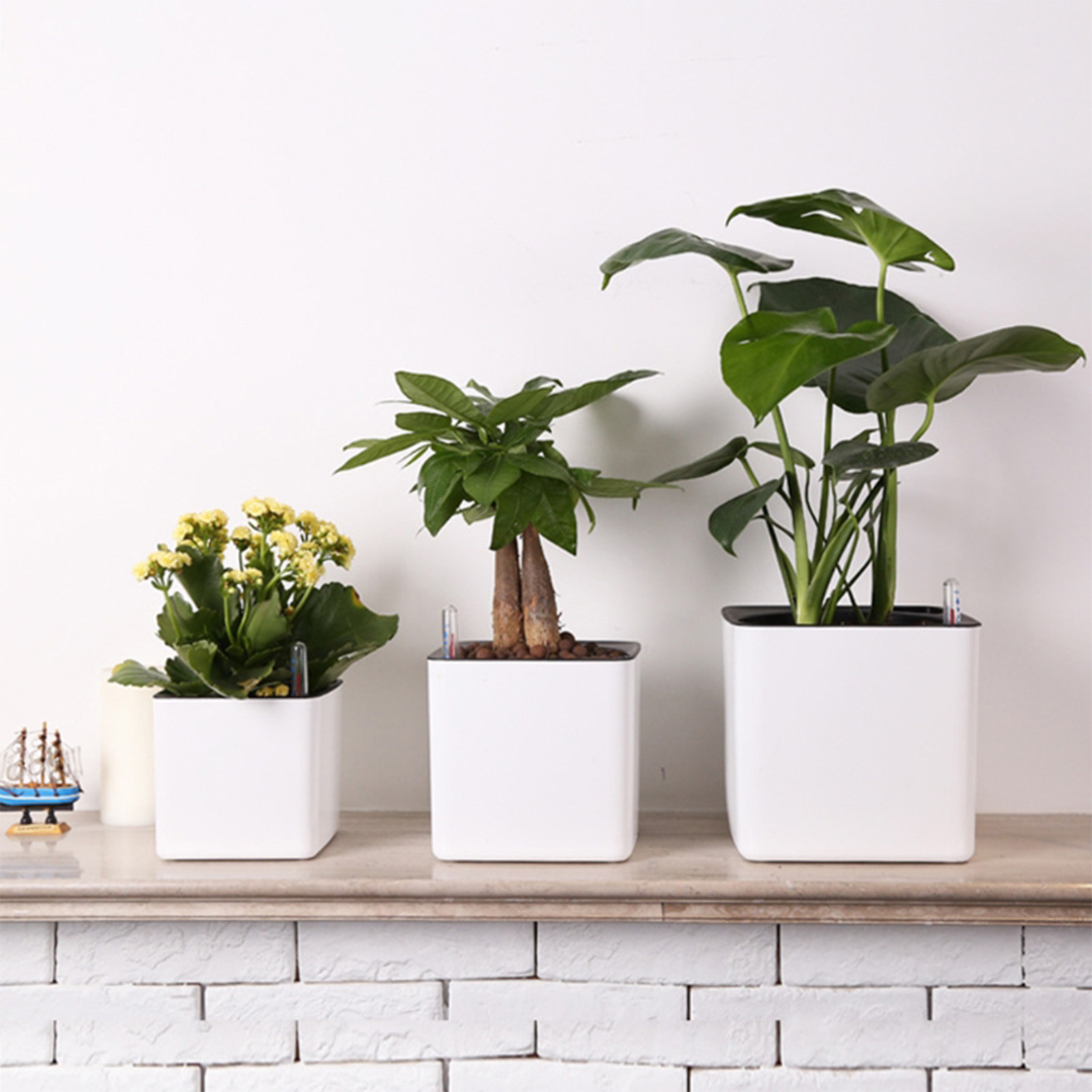 Aloe Vera Pot - Self Watering Planter Self-watering Pot with