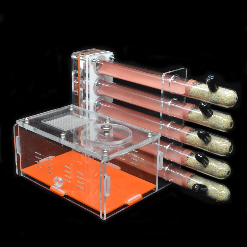 DIY Acrylic Ant Farm 5 pcs 18- - Begonia Rex review and price
