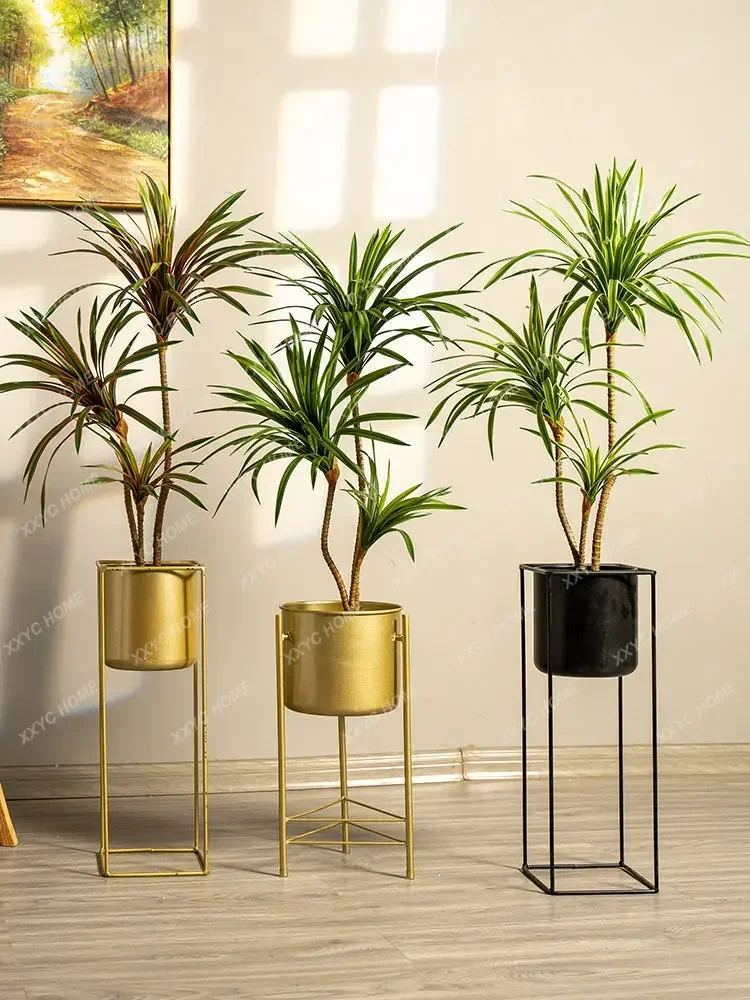 Simulation Colorful Ponytail I - Dracaena Marginata review and price