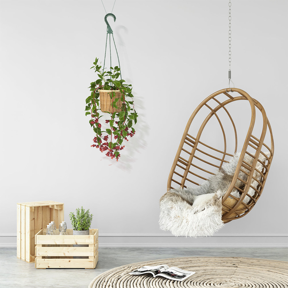 5Pcs Modern Minimalist Hanging - Spider Plant Hanging review and price