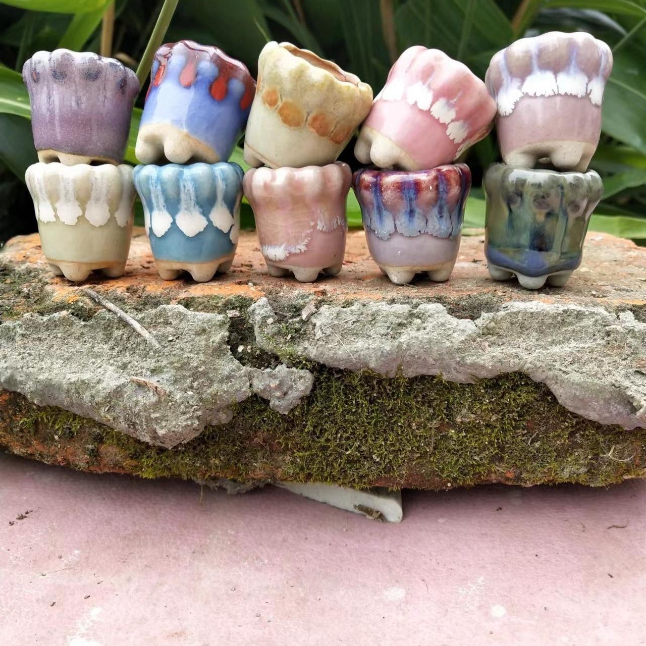 10Pcs Mini Ceramics Fowerpot M - Echeveria Succulent review and price
