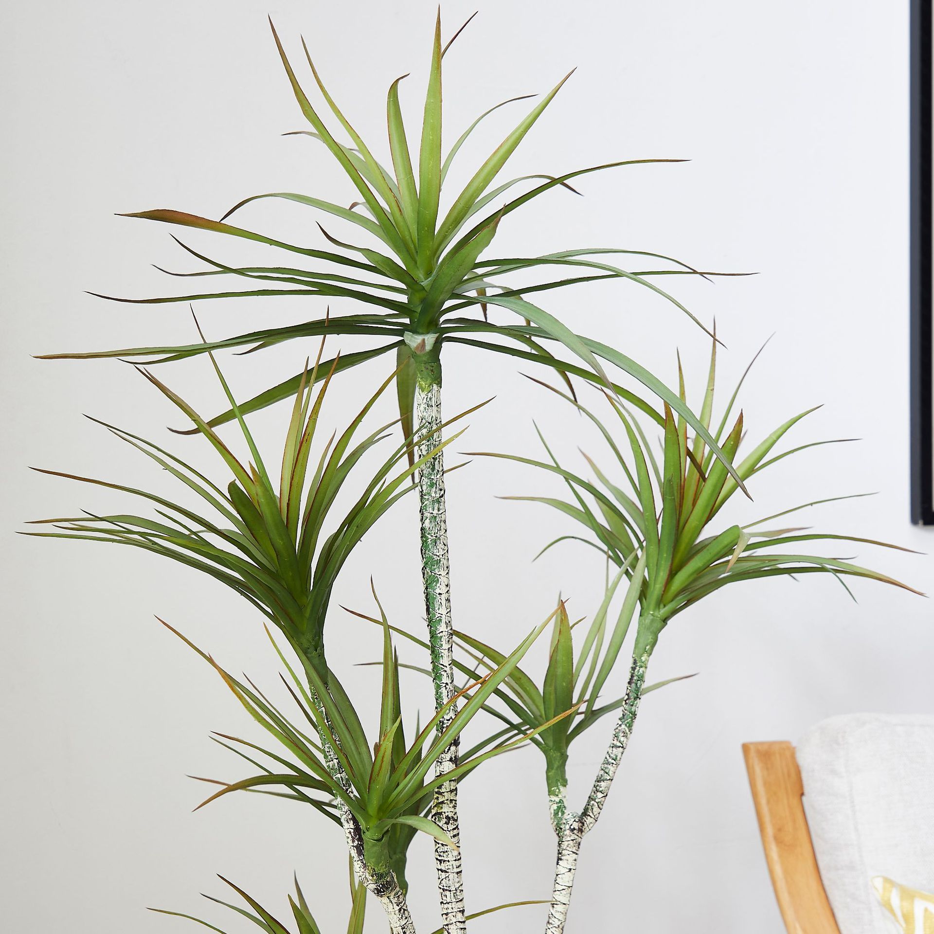 Artificial Plastic Potted ​Pla - Dracaena Marginata review and price